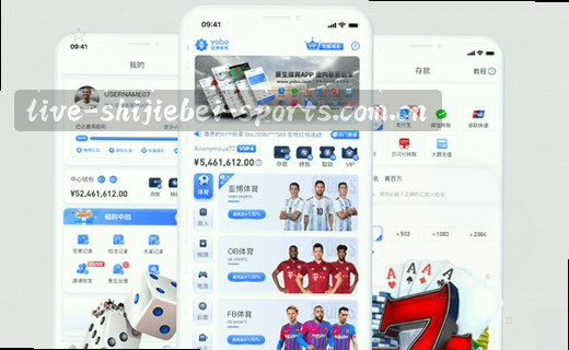 数据档案，数字记忆